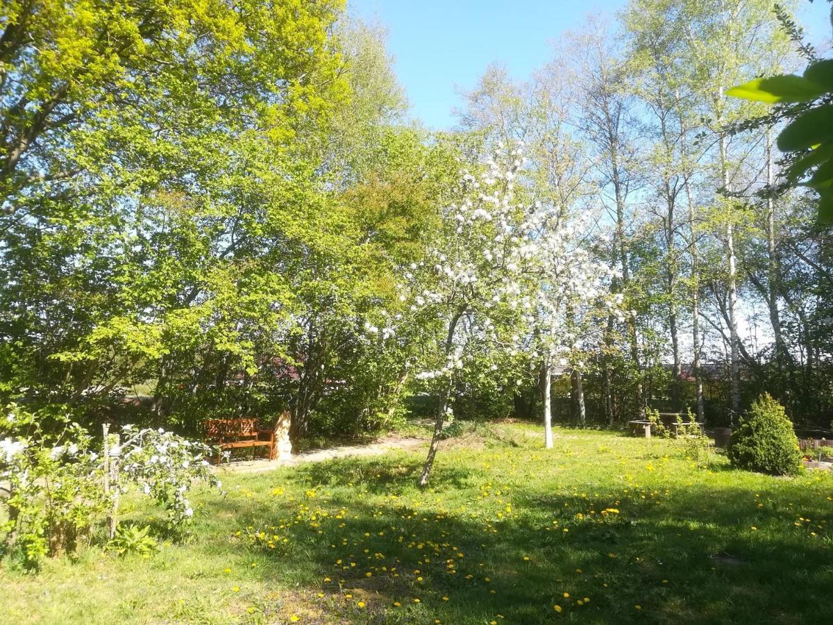 Vegawagen Psyche, Een Sprookje In Coevorden Exteriör bild