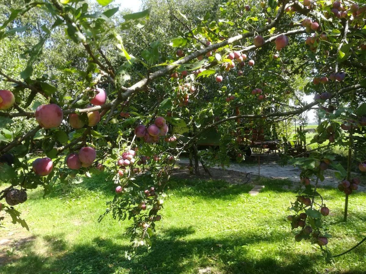 Vegawagen Psyche, Een Sprookje In Coevorden Exteriör bild