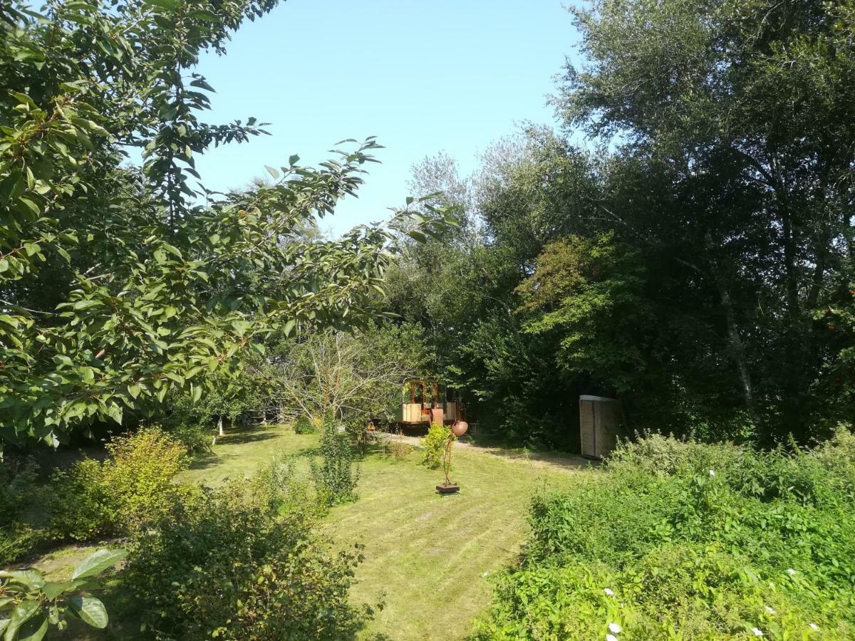 Vegawagen Psyche, Een Sprookje In Coevorden Exteriör bild
